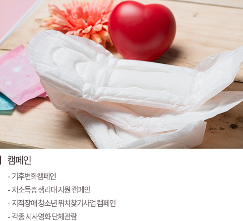 해안선 생태탐사
